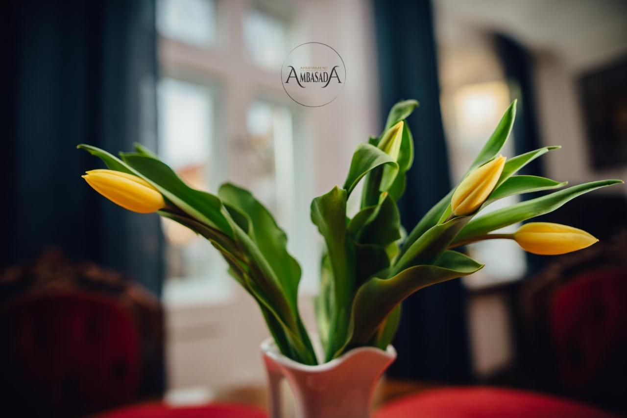 Apartament Ambasada Zamość Εξωτερικό φωτογραφία